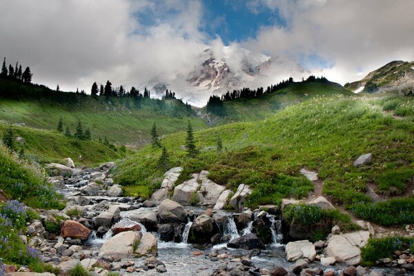 Paesaggio del fiume di montagna con acqua fredda