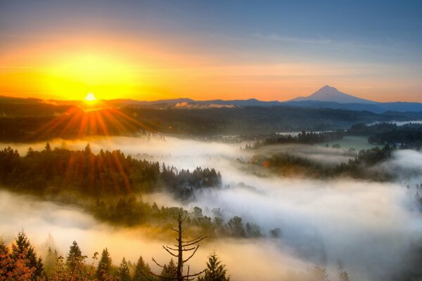 Siwy mglisty poranek, wschodzi słońce