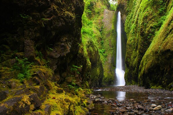 Una pequeña cascada de montaña en el desfiladero