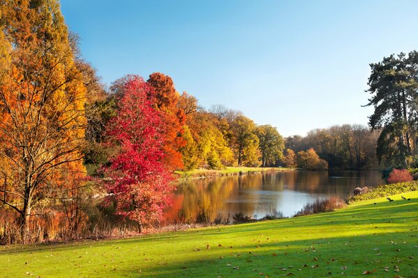 Lago nel parco. paesaggio autunnale