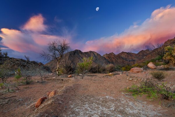 The sky hung over the lunar desert