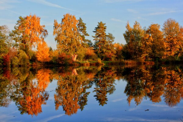 Jesienny las nad rzeką