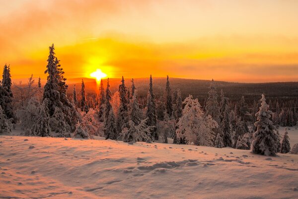 Рассвет в зимний, холодный день