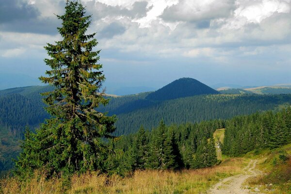 Niebo i Chmura góry i Las