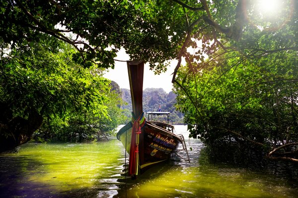 Barca che naviga attraverso il lago Thailandese tra gli alberi