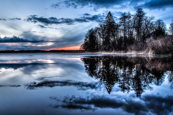 Reflection of clouds and trees in the water in the forest