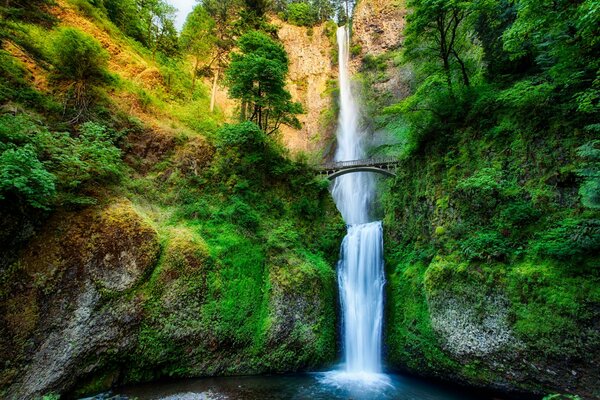 Pequeño puente sobre la cascada