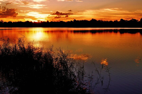 Blurred silhouettes of trees and clouds in the evening lake seasoned with a red sunset