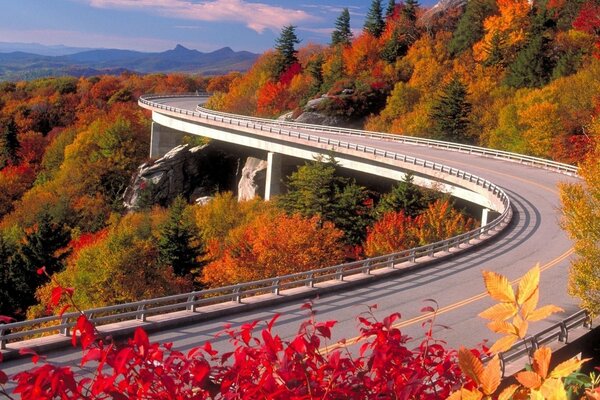 Autumn road going into the sky