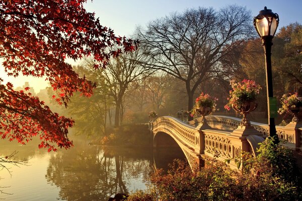 Herbstzeit im Park Brücke mit Fluss