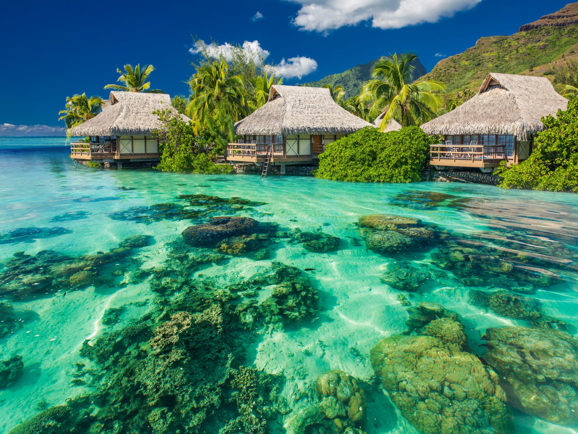 tropical paradis plage palmiers mer océan soleil été vacances cabane tropiques maisons