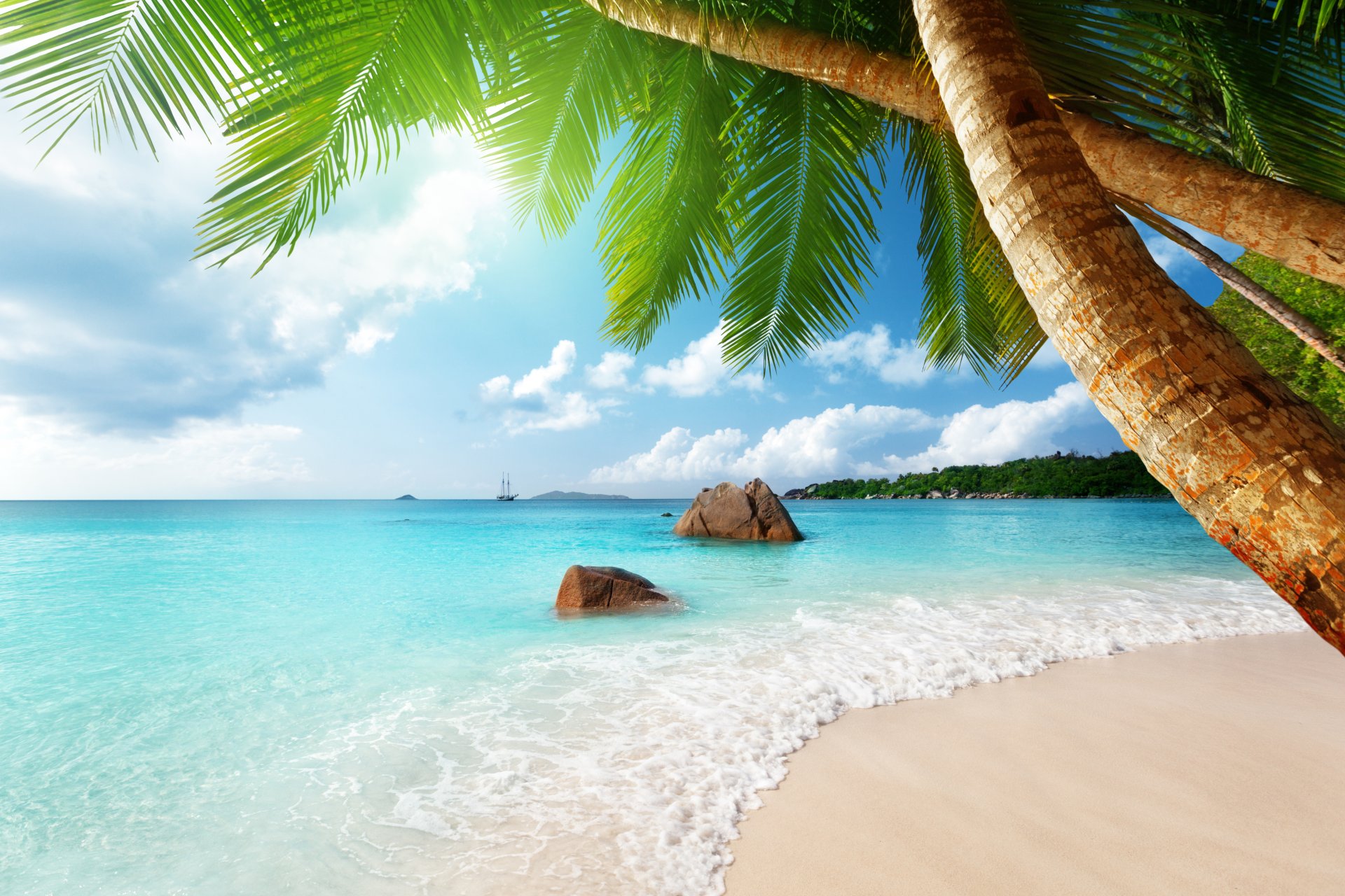 tropisch paradies strand küste meer blau smaragd ozean palm sommer sand urlaub tropen sonne insel küste palmen