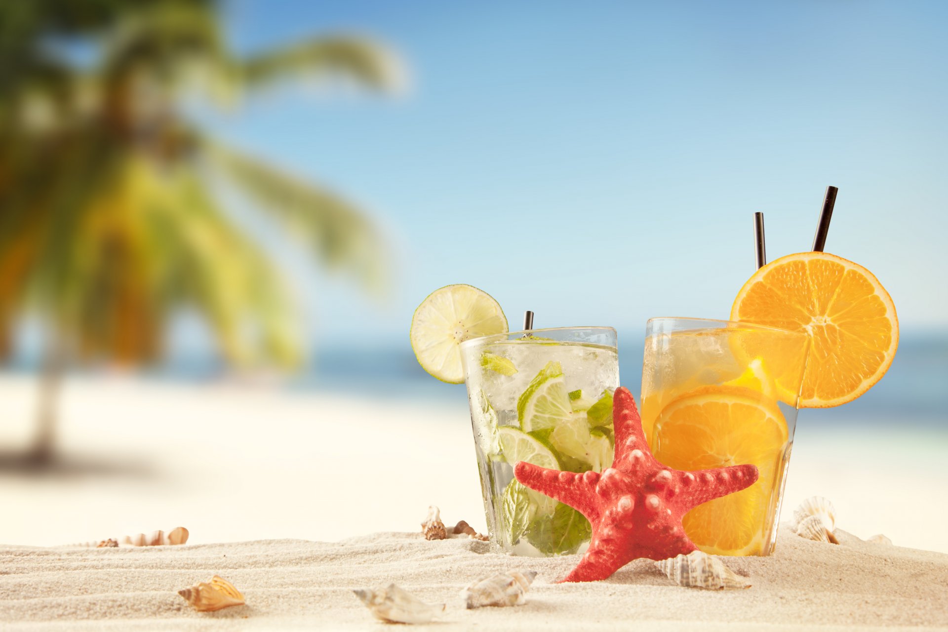 sommer tropisch urlaub strand trinken sand sommer meer sonne cocktails muscheln limette orange