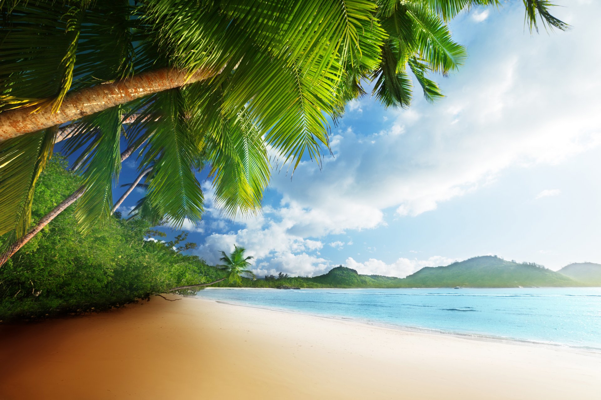 tropisch paradies sonne strand küste meer himmel blau smaragd ozean palm sommer sand urlaub tropen ufer palmen