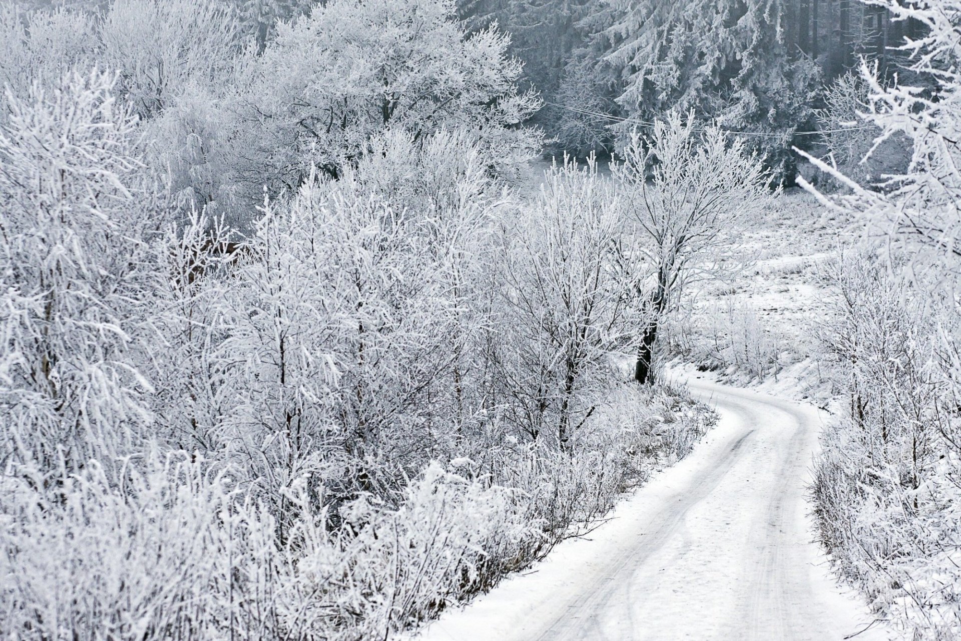 barthélemy photo hiver neige route hiver givre arbres saison