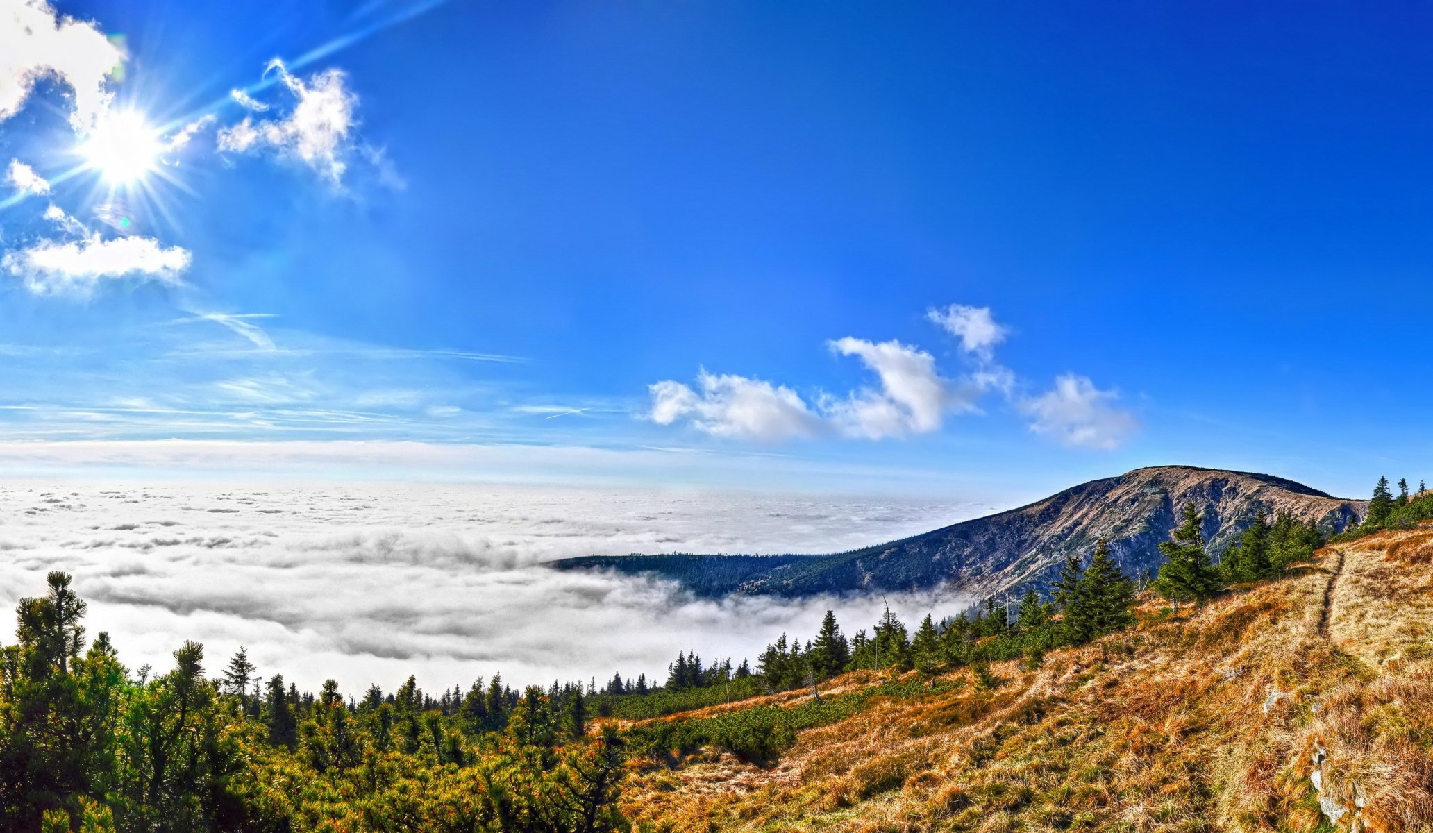 giant mountains national park czech republic mountain forest clouds sun