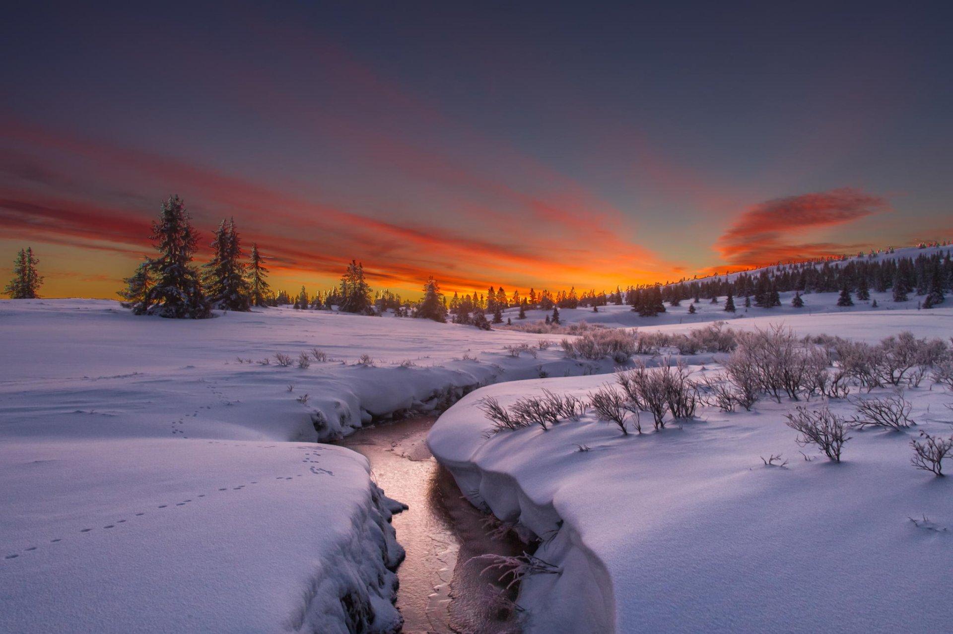 winter snow river rasvet tree