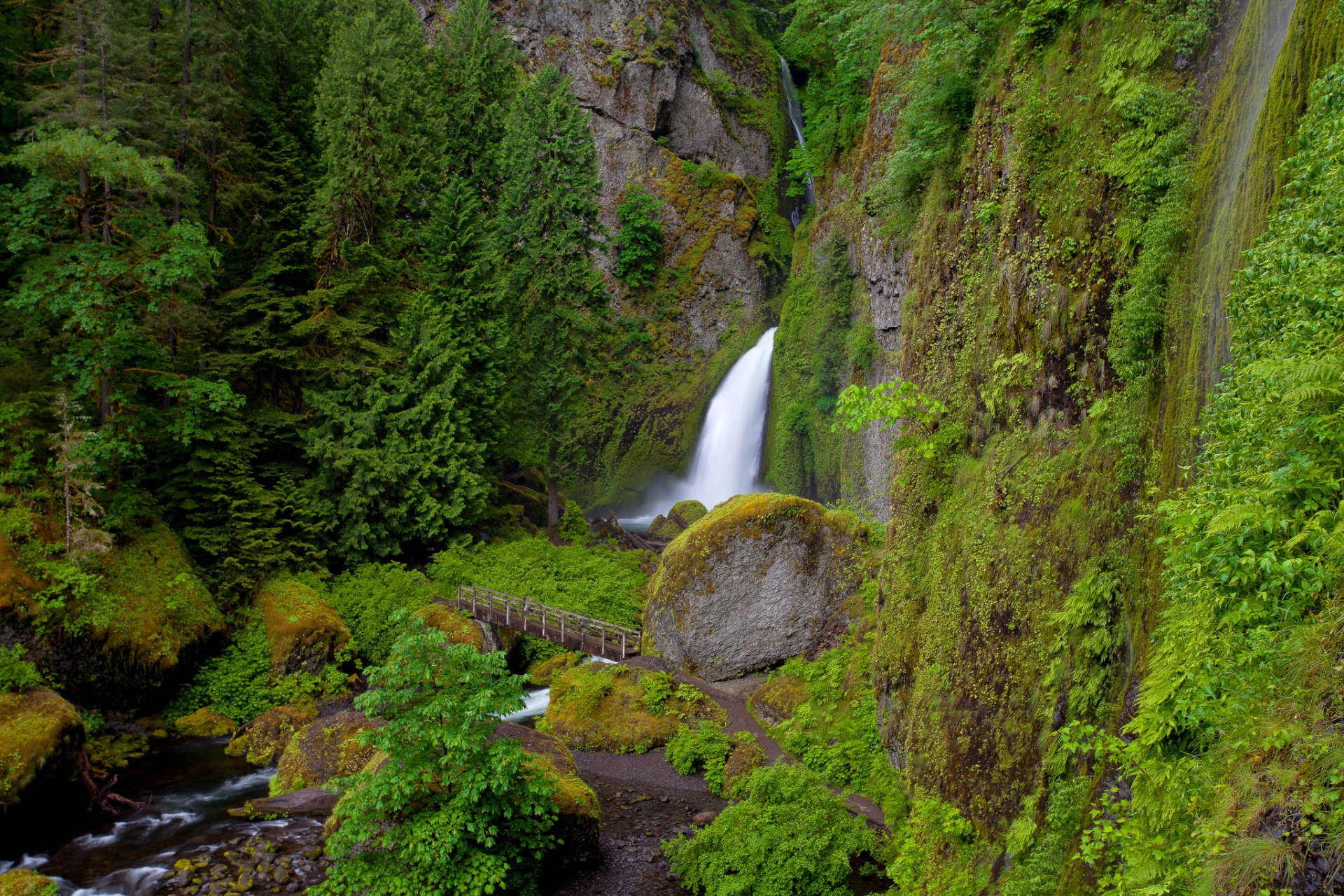 wahclella falls oregon wasserfall felsen fluss brücke vegetation