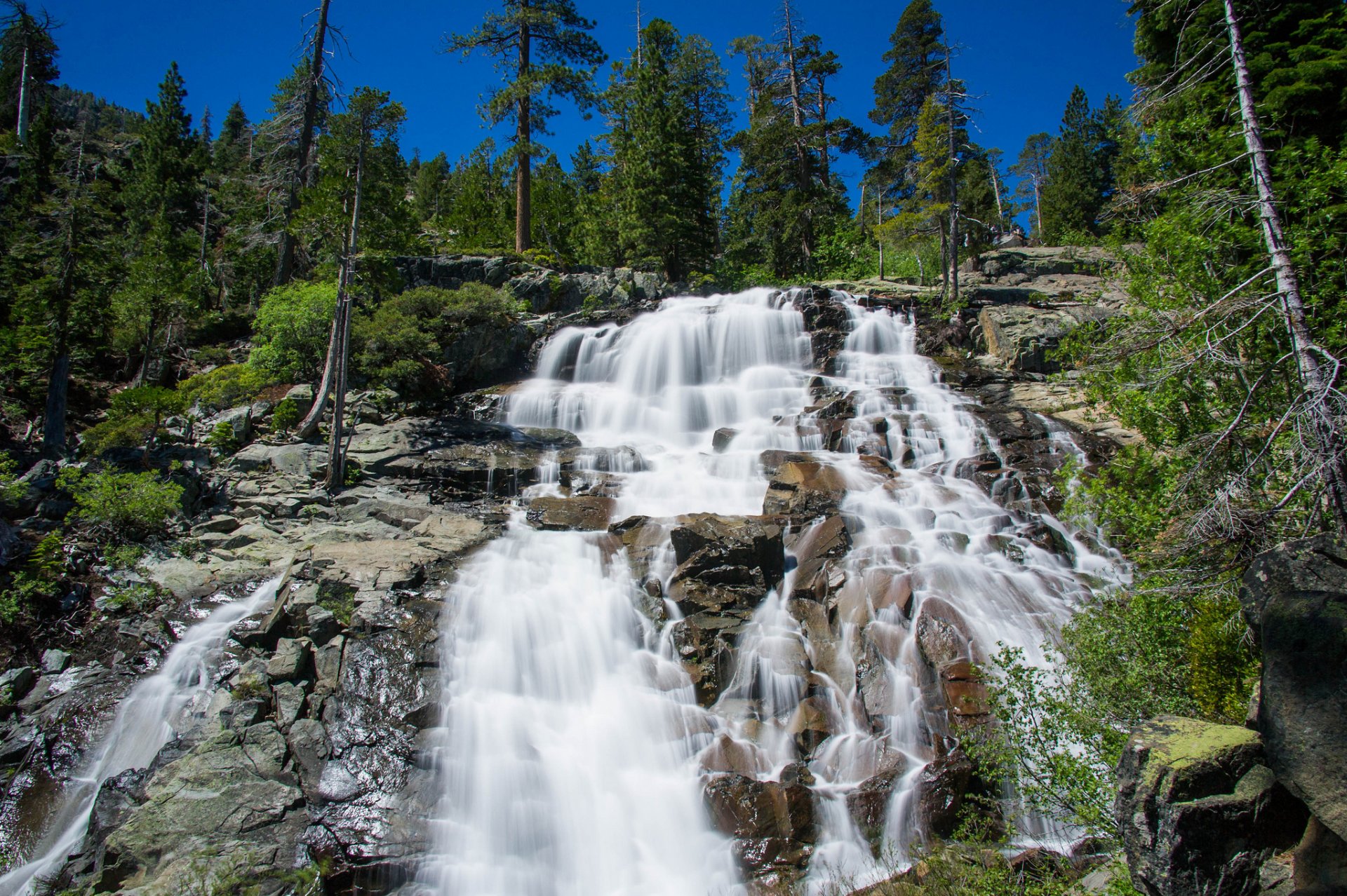 cascada roca bosque árboles