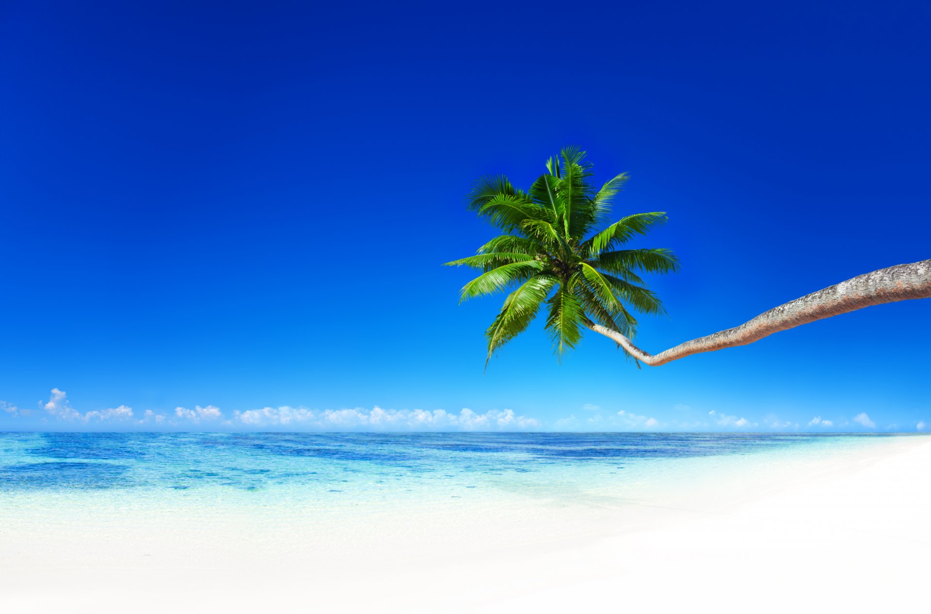 tropisch paradies strand küste meer ozean palm sommer tropen sand sonne insel küste