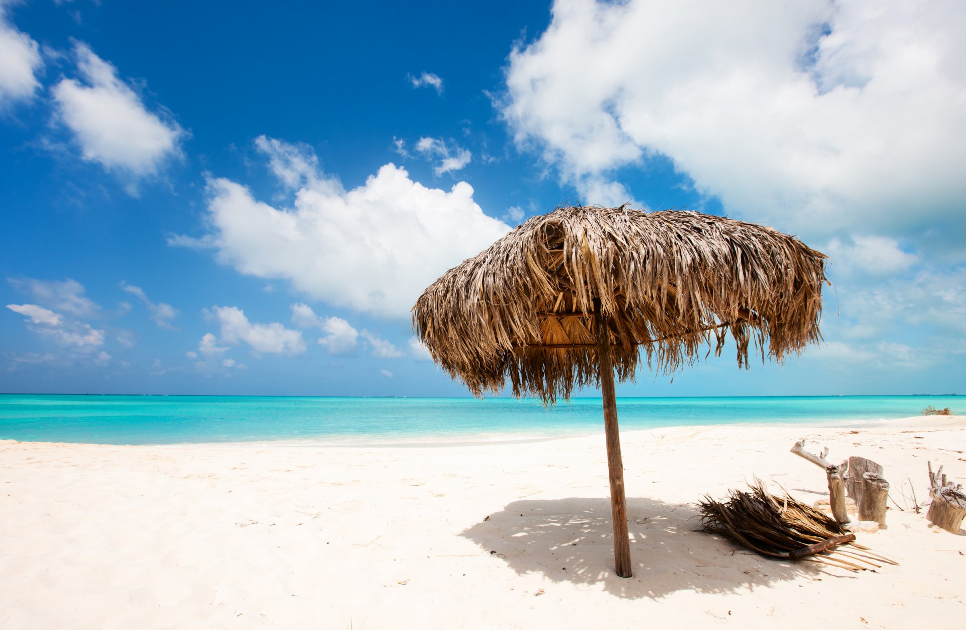 küste sommer ozean strand natur tropen