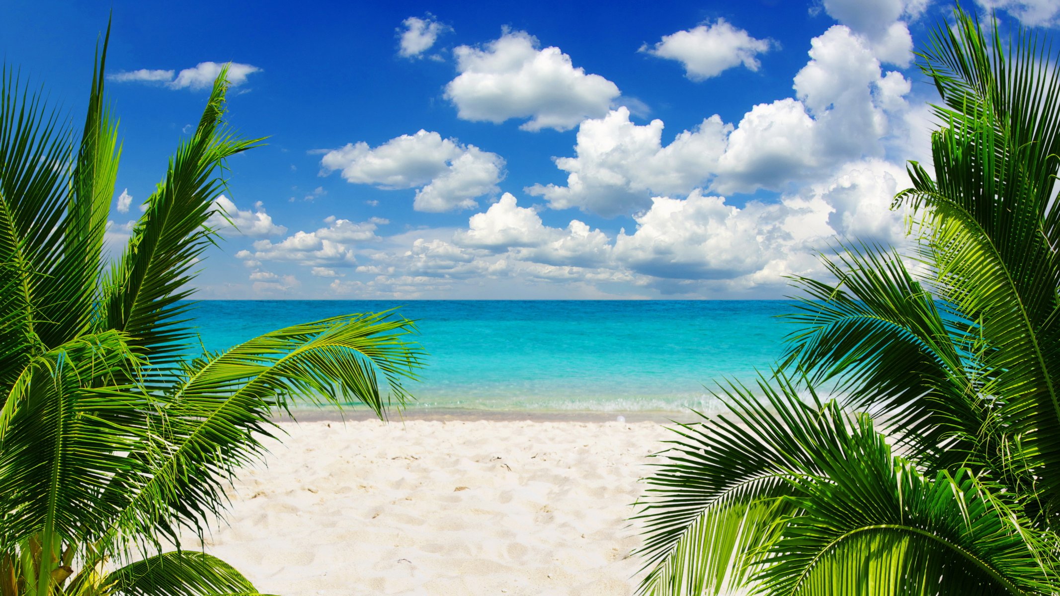 tropical paradise sun beach coast sea sky blue emerald ocean palm summer sand vacation tropics coast palm tree