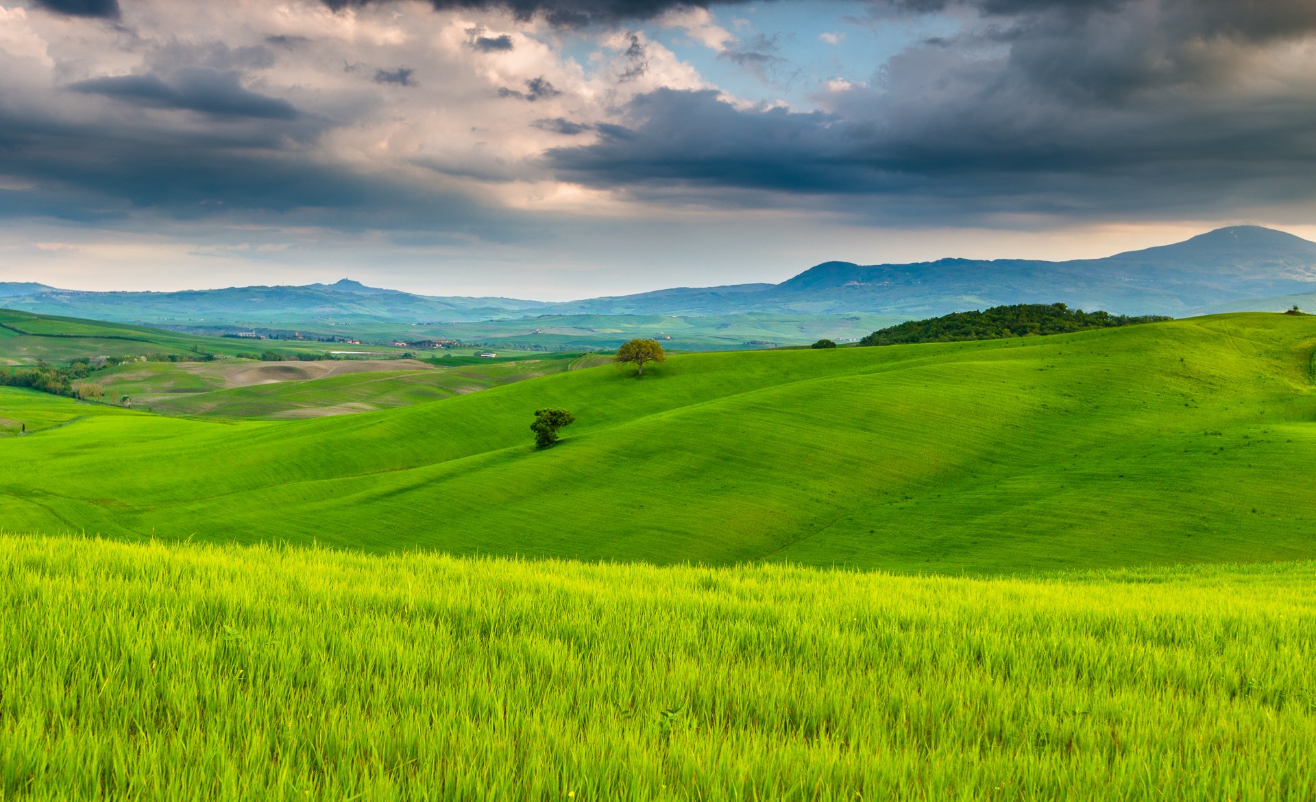 italien toskana natur felder bäume himmel wolken