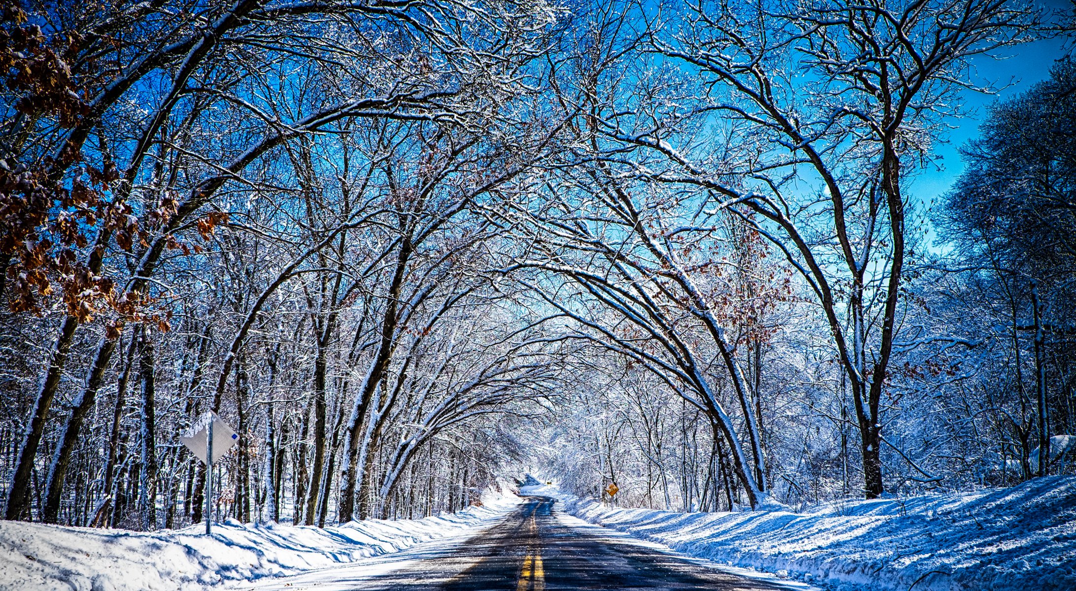 cielo inverno strada alberi neve tunnel