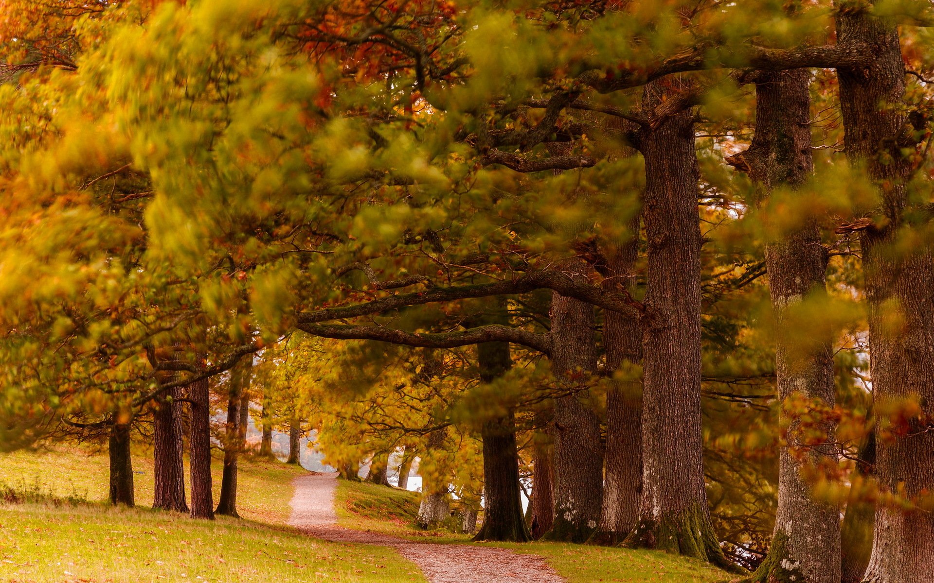 park jesień przyroda