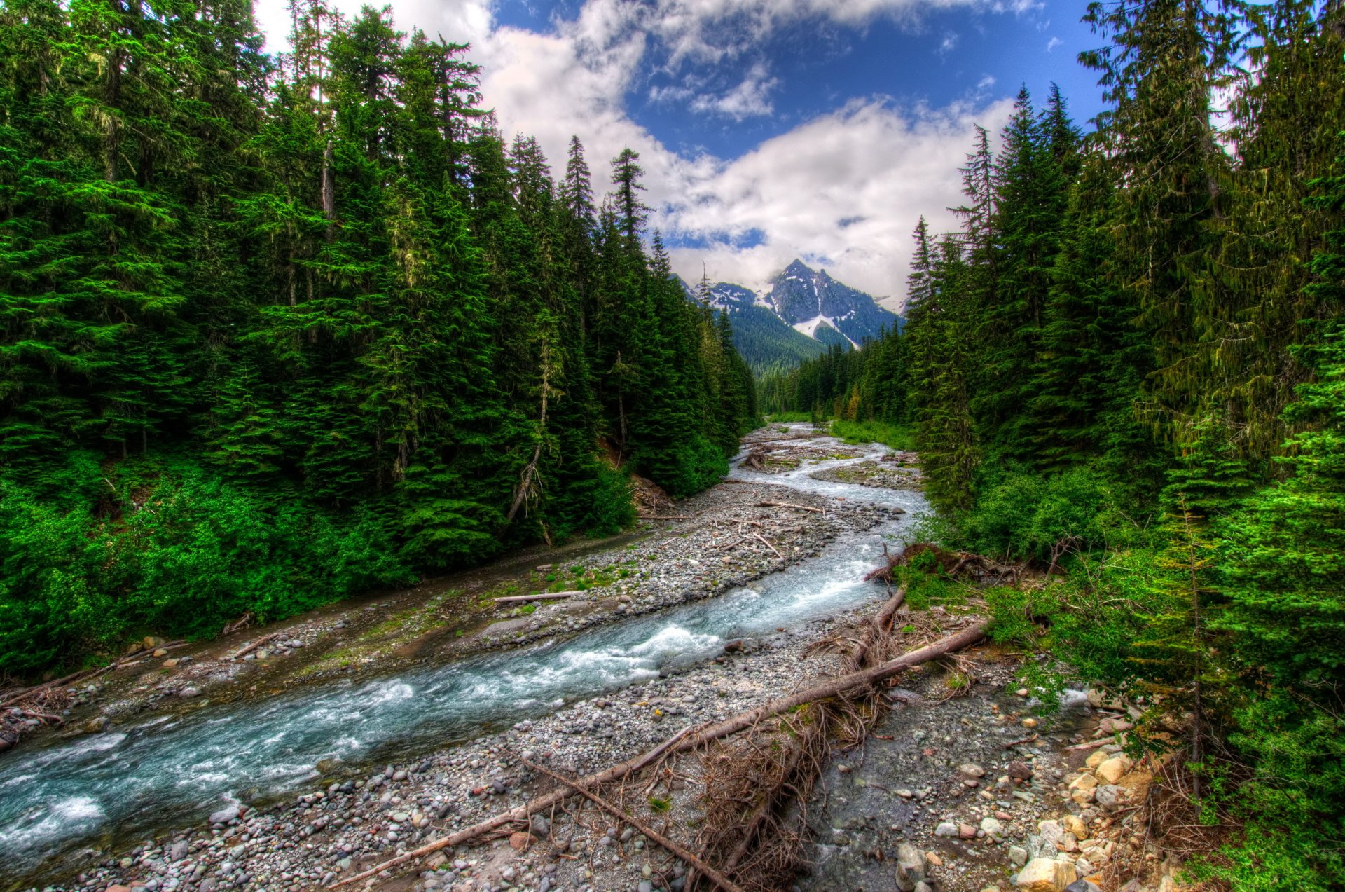 fiume fiume foresta alberi montagna neve nuvole