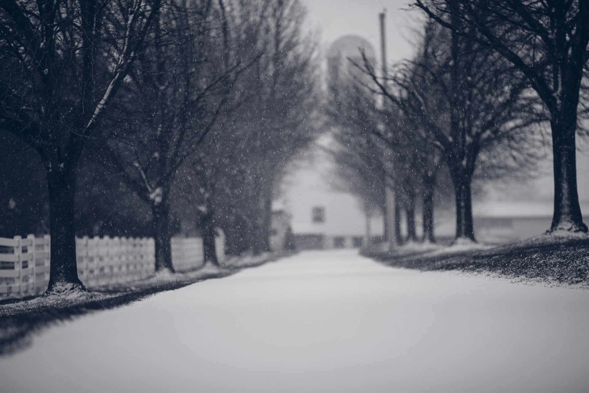 inverno natura alberi rami neve fiocchi di neve strada recinzione