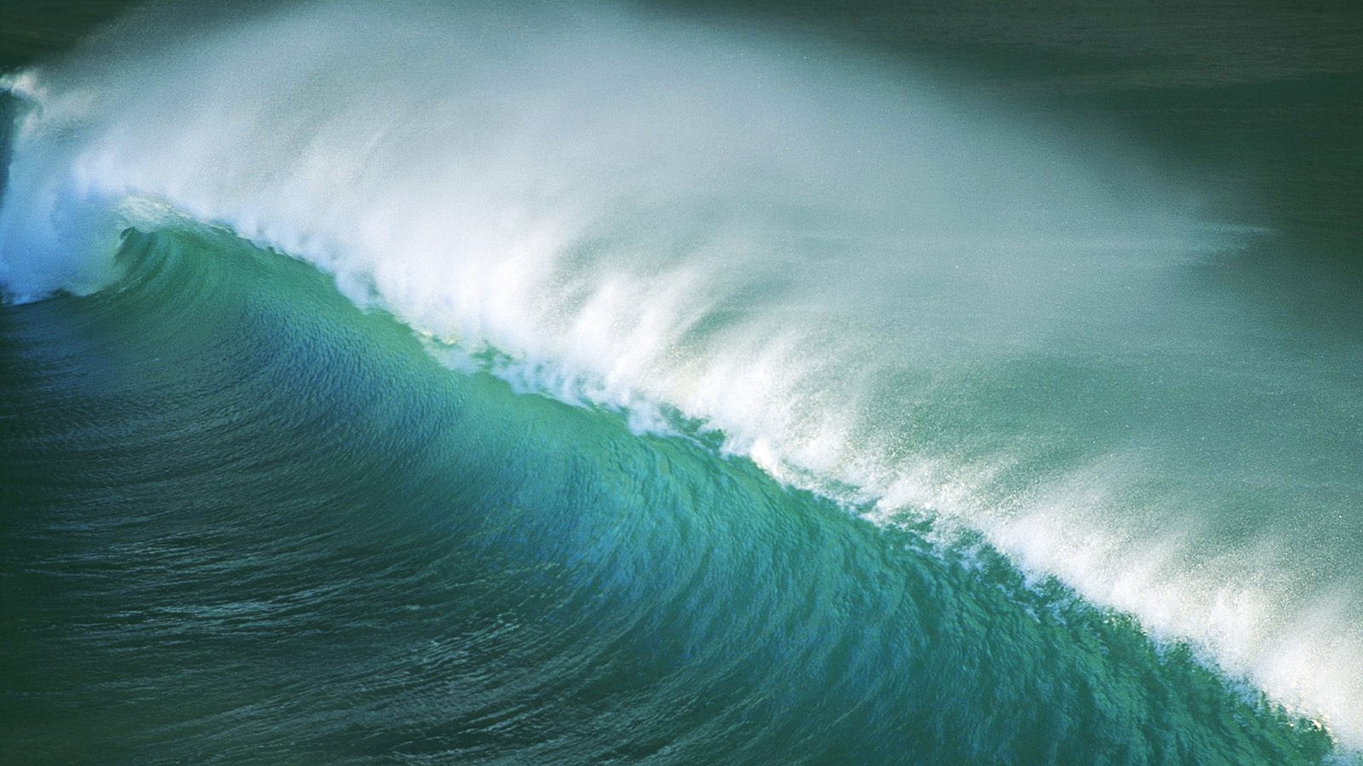 vague océan tempête mer