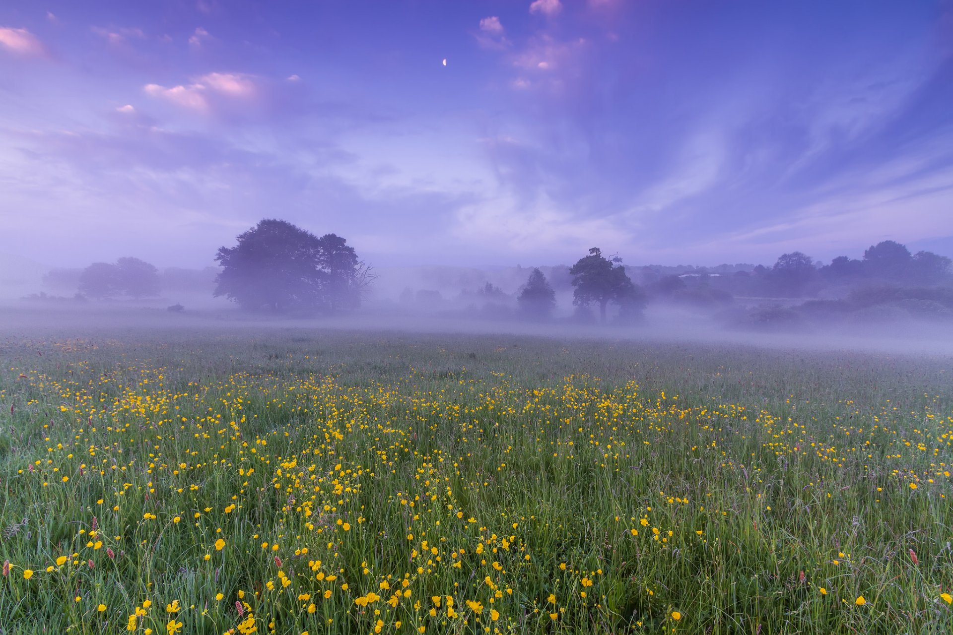 reino unido inglaterra campo claro árboles flores neblina niebla mañana amanecer cielo nubes luna