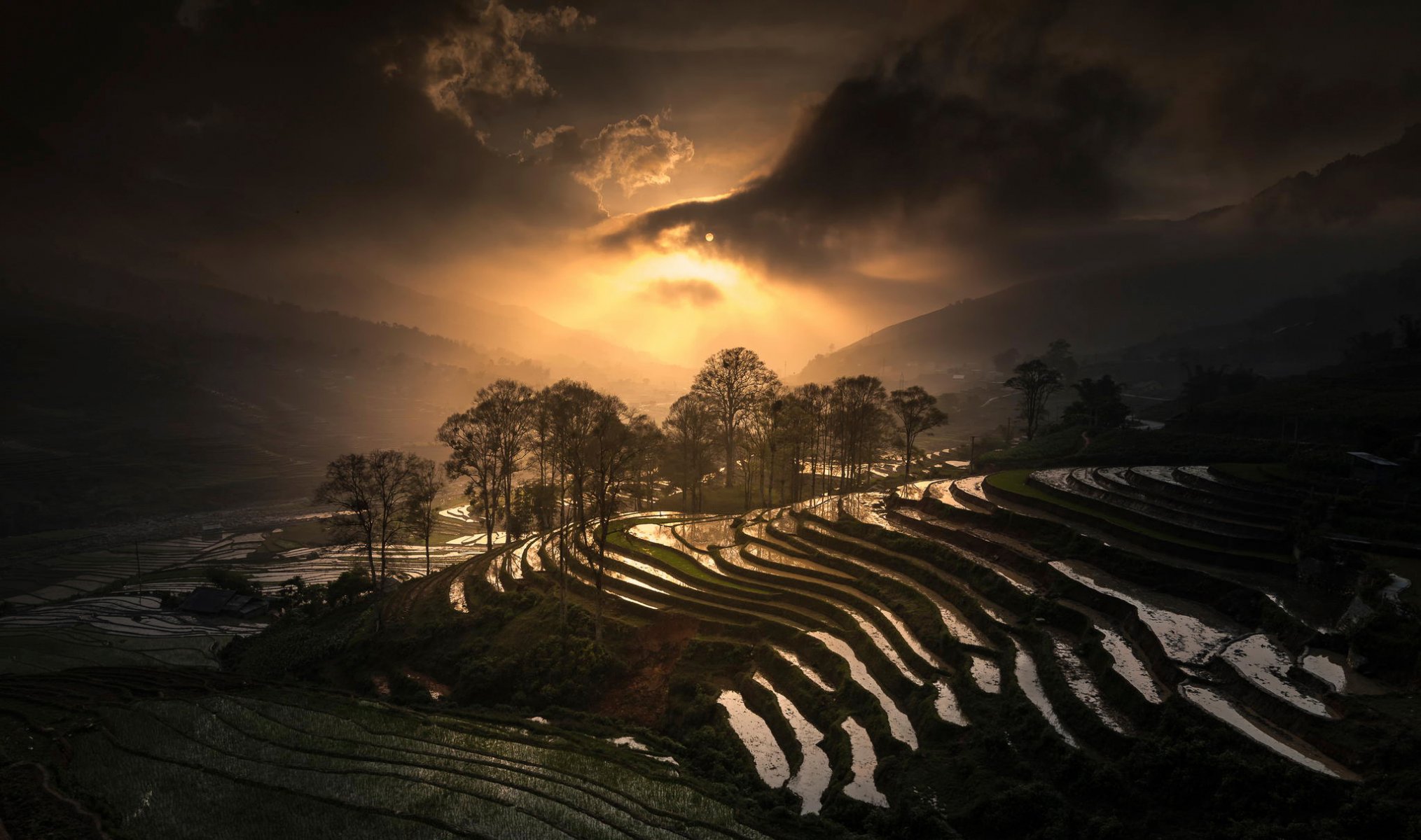 rice terrace sapa vietnam