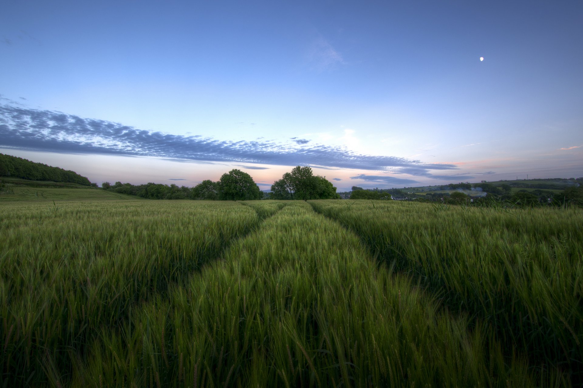 reino unido irlanda del norte campo tarde crepúsculo árboles cielo nubes luna