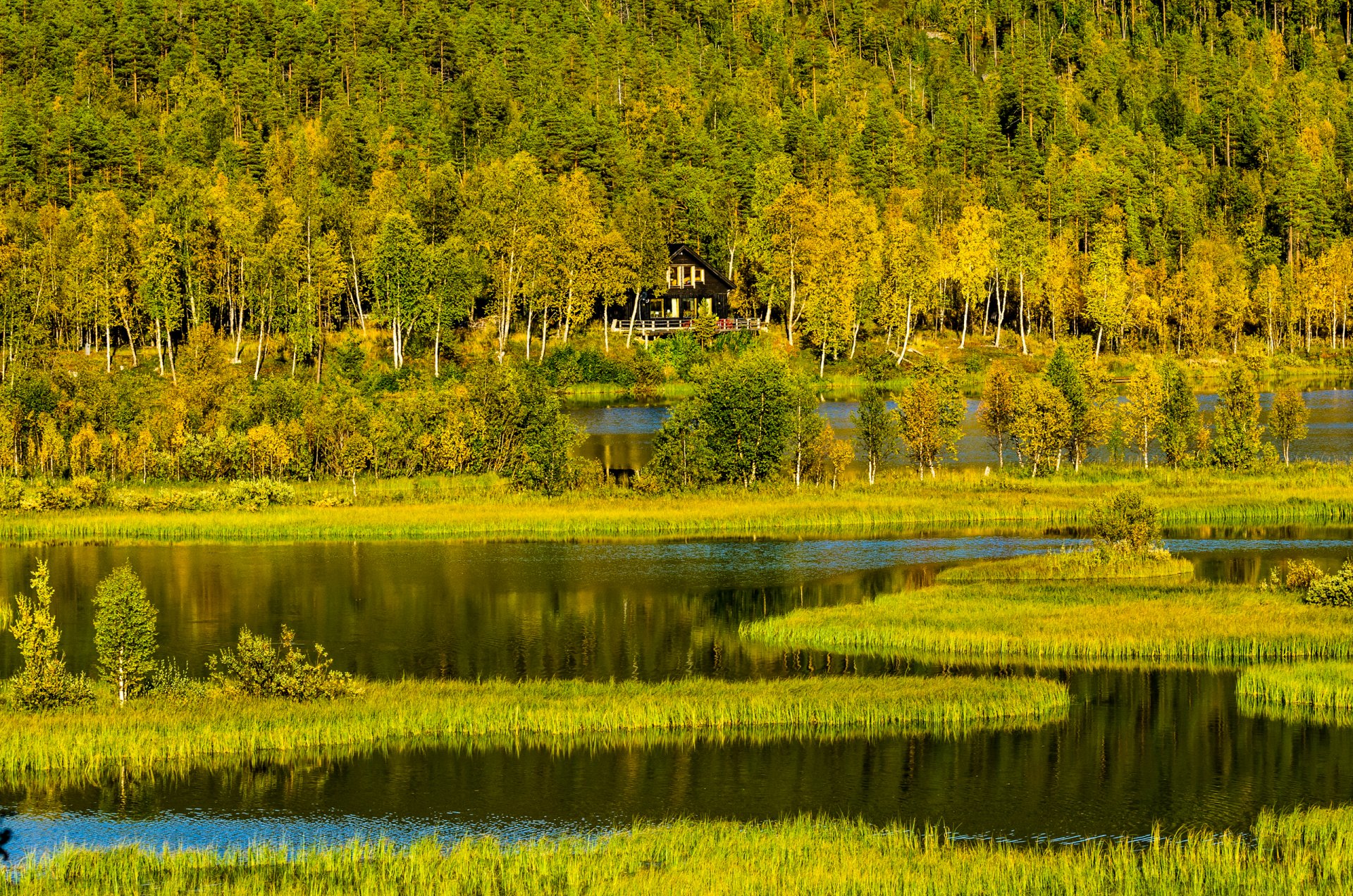 norwegen see haus wald bäume berge hügel herbst gras