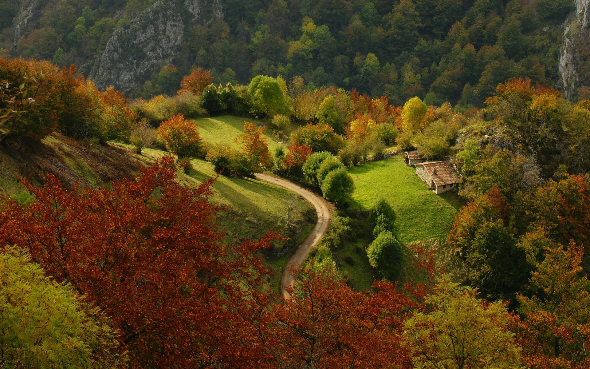 nature road house hills mountain forest trees