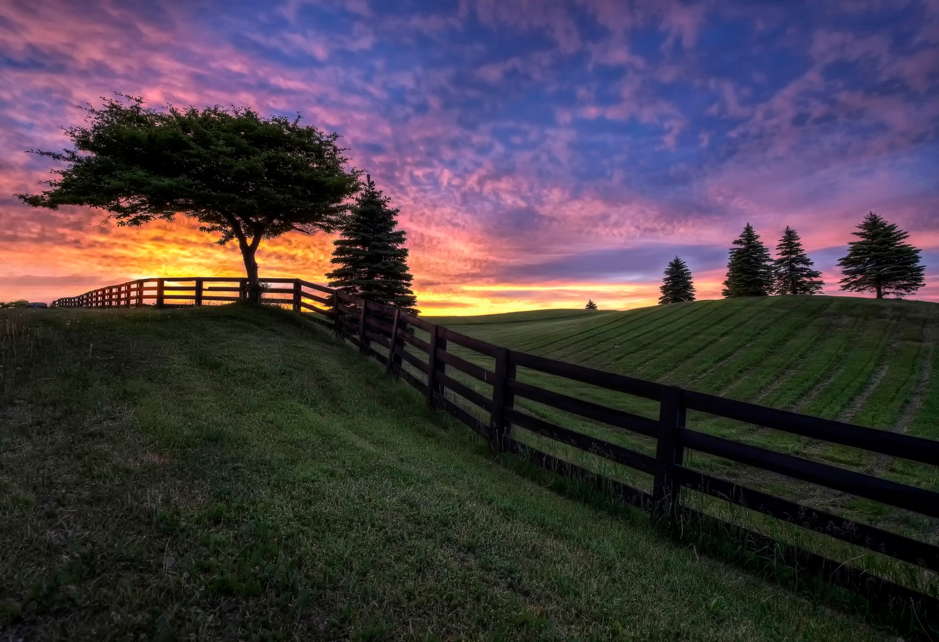 campo alberi recinzione cielo nuvole