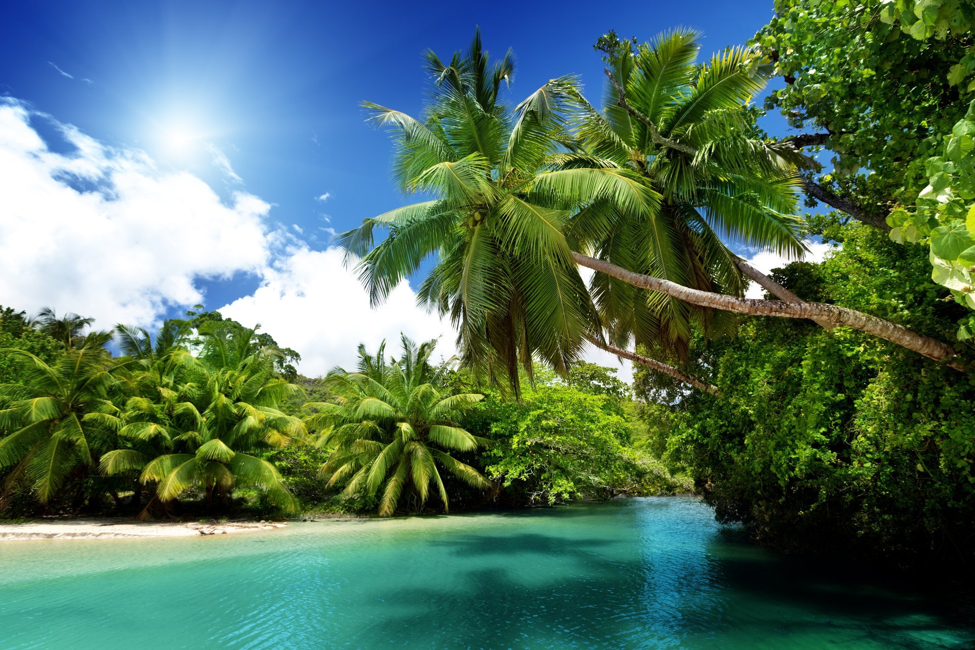 tropical paradise beach sea blue emerald ocean palm trees summer vacation tropics sun