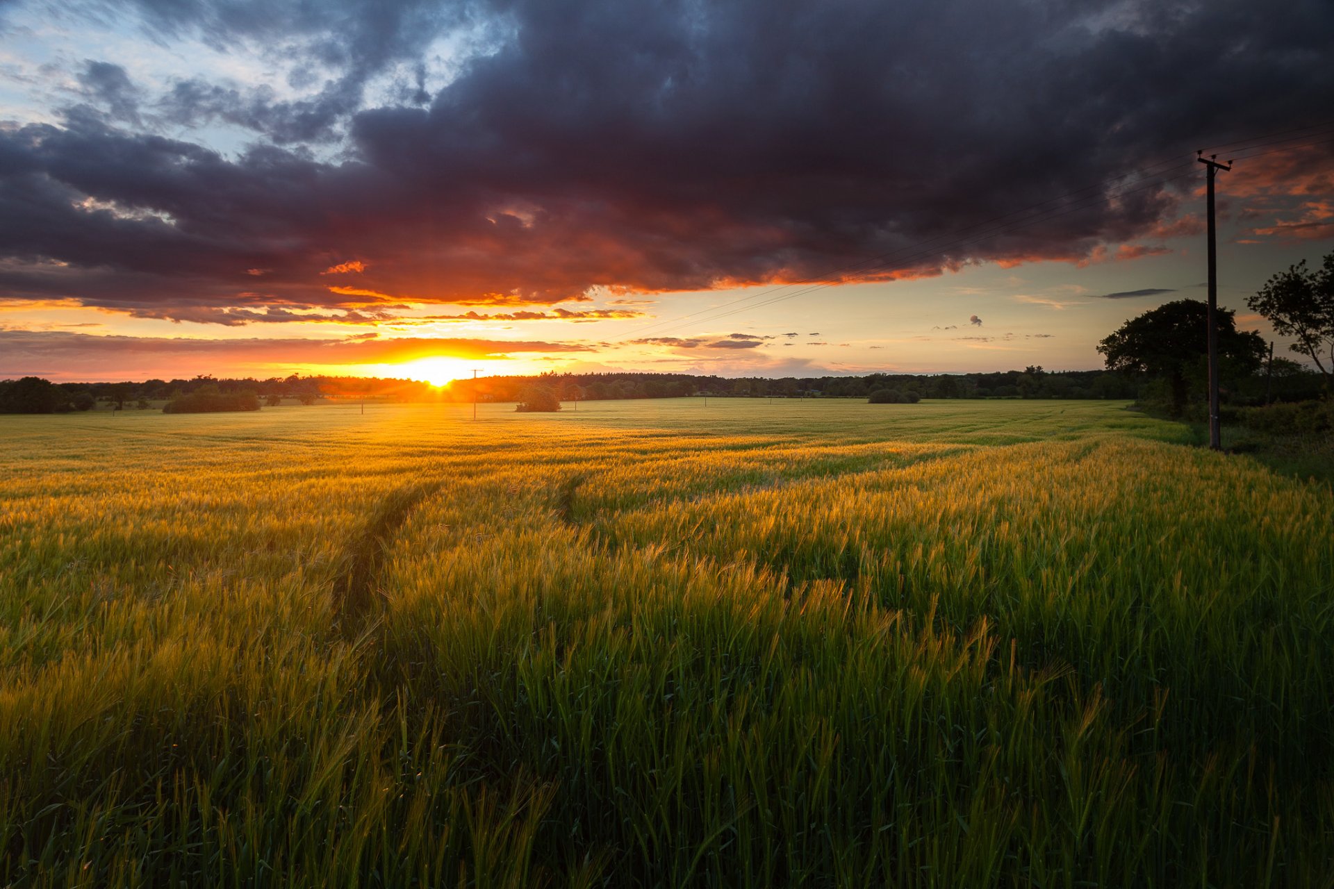 feld sonne wolken