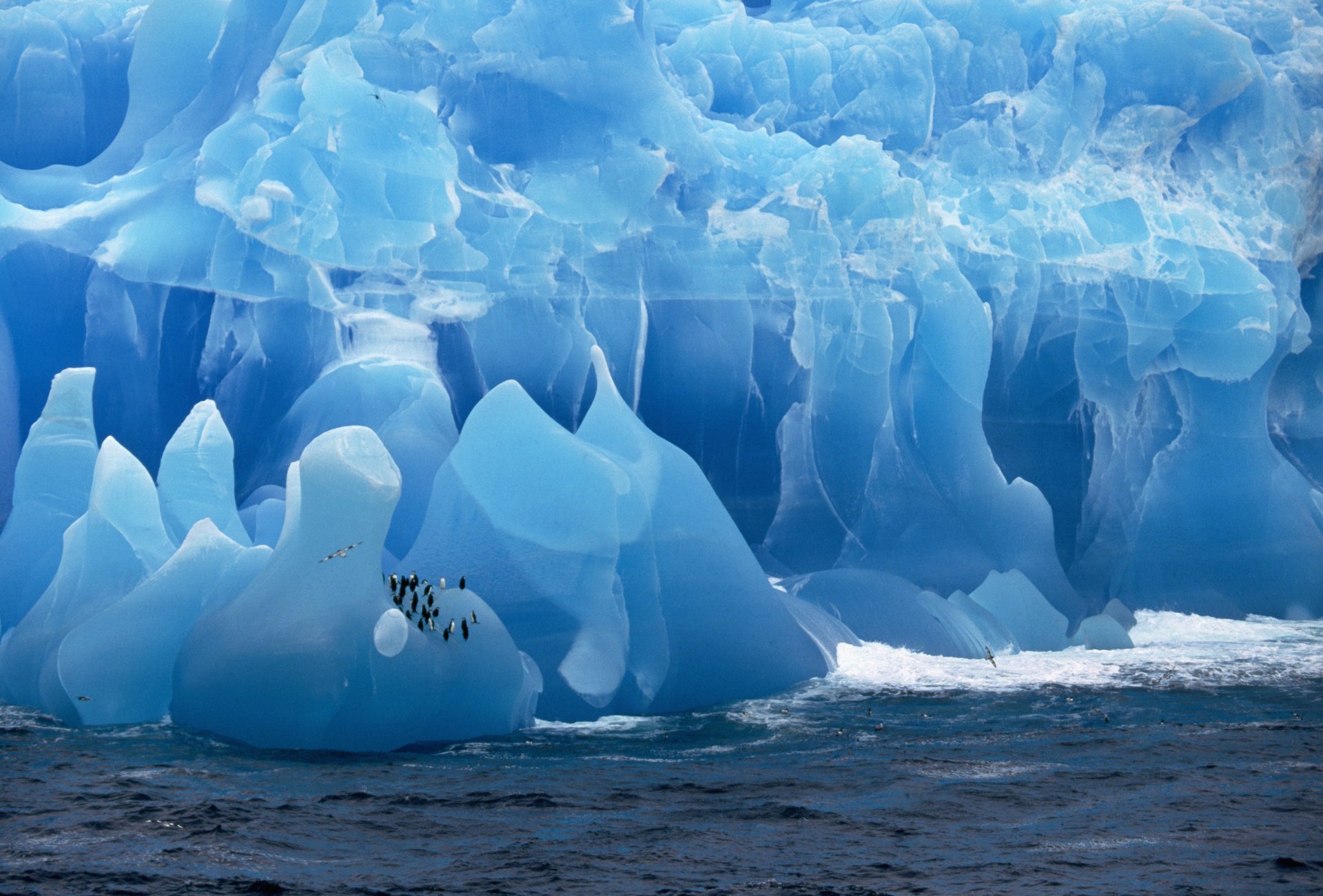 penguins ice sea next