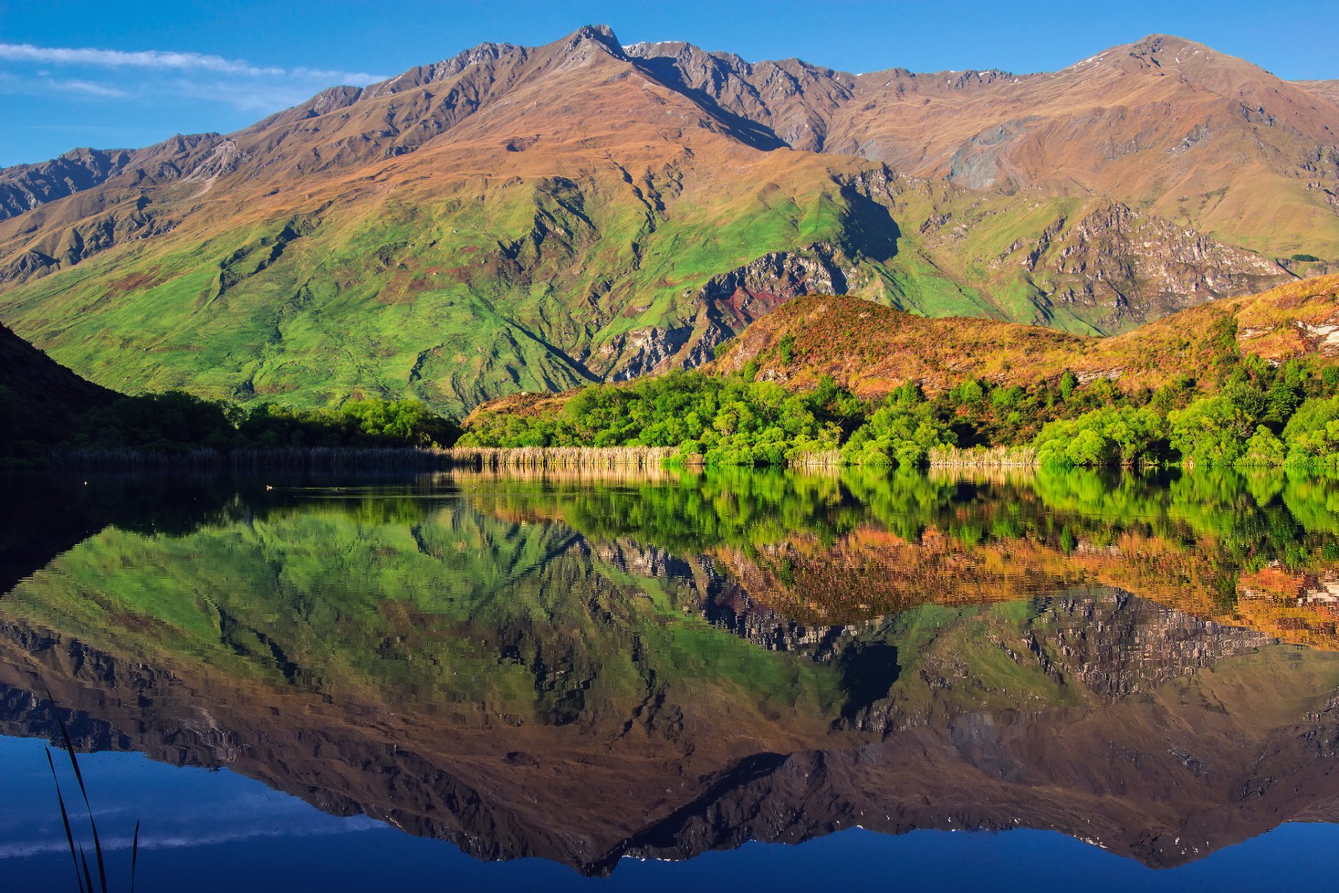 new zealand south island national park mount aspiring national park wanaka diamond lake lake mountain sky tree reflection