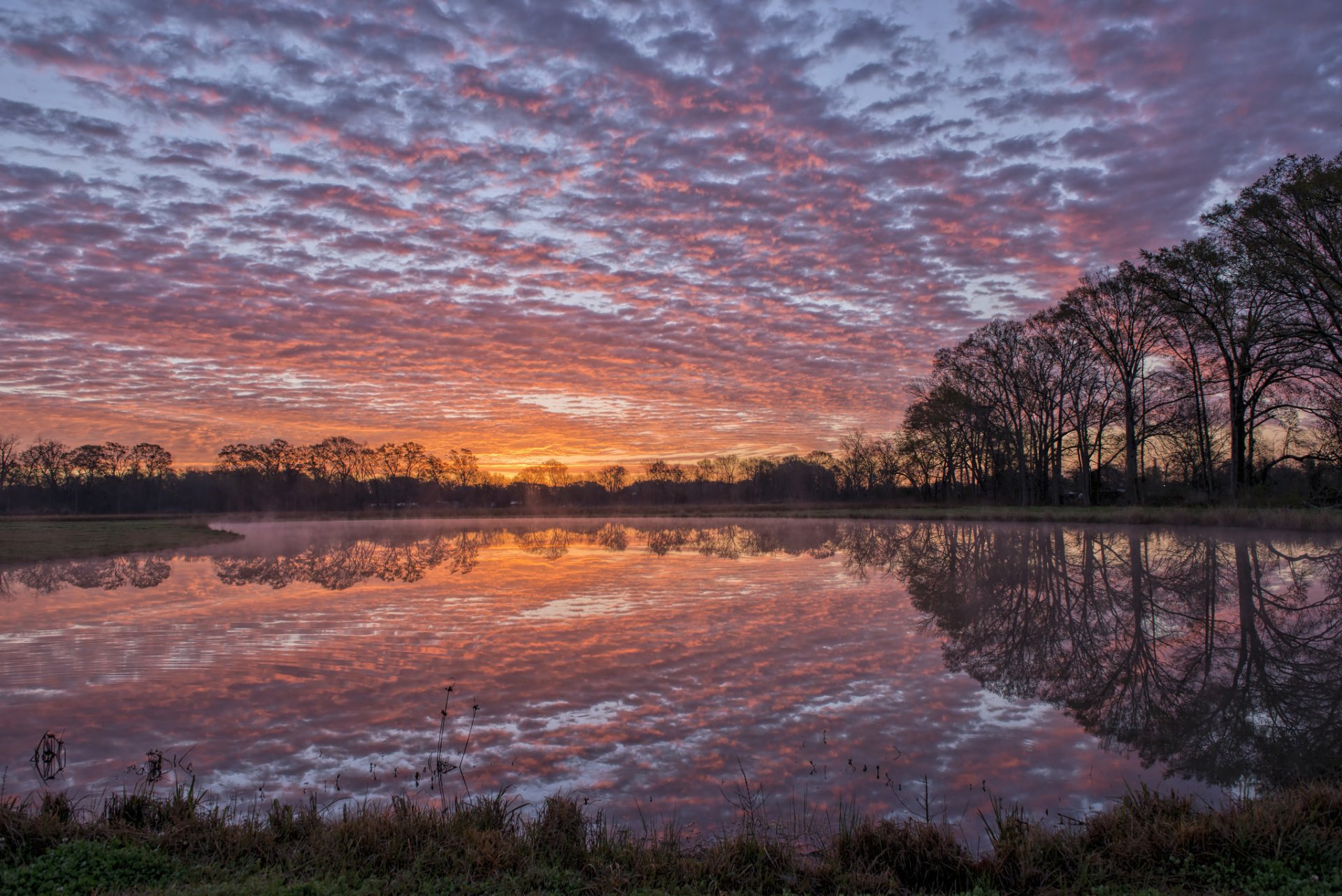 estados unidos louisiana río agua superficie reflexión costa árboles tarde puesta del sol cielo nubes