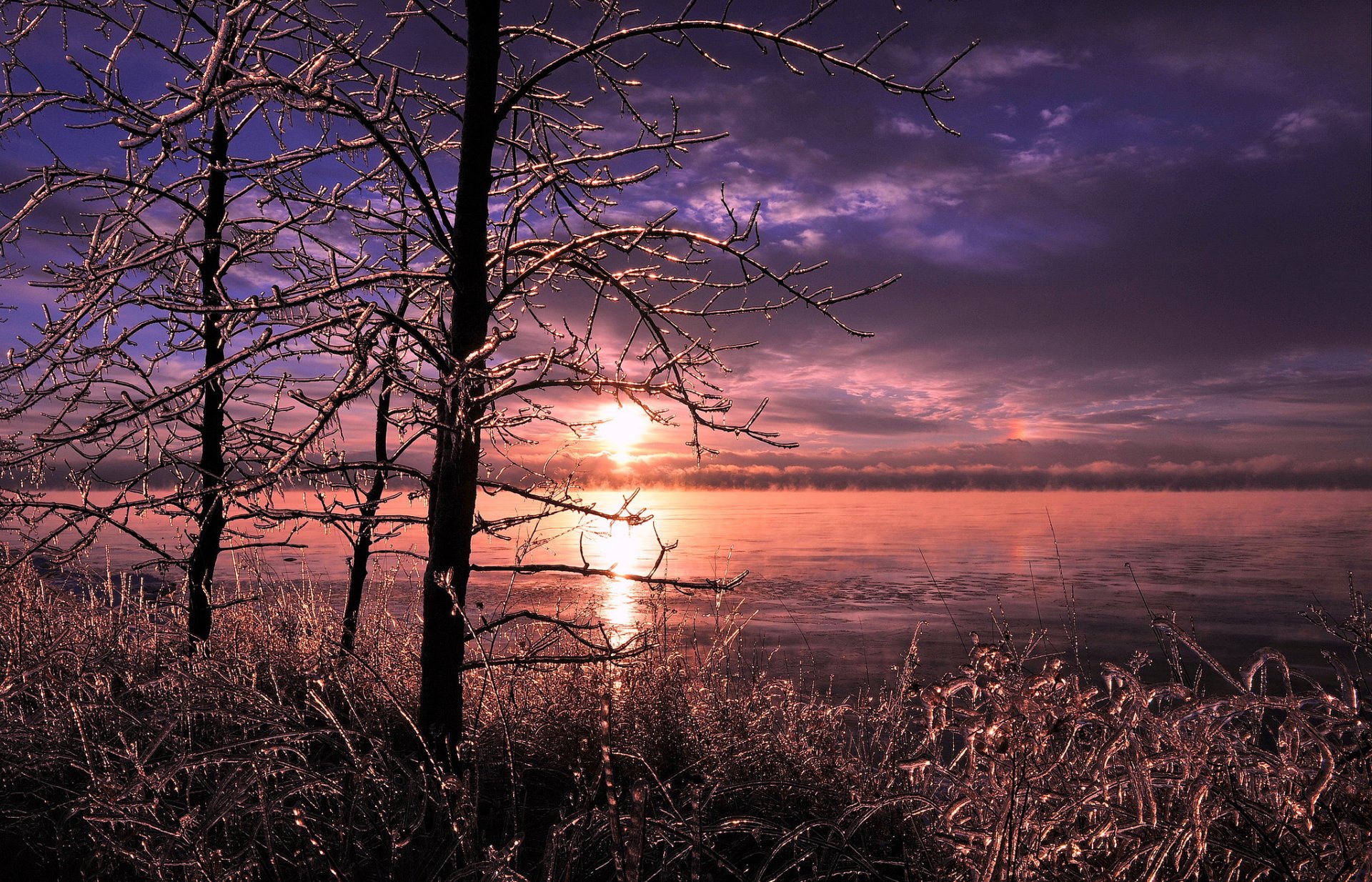 lac arbres herbe glace hiver