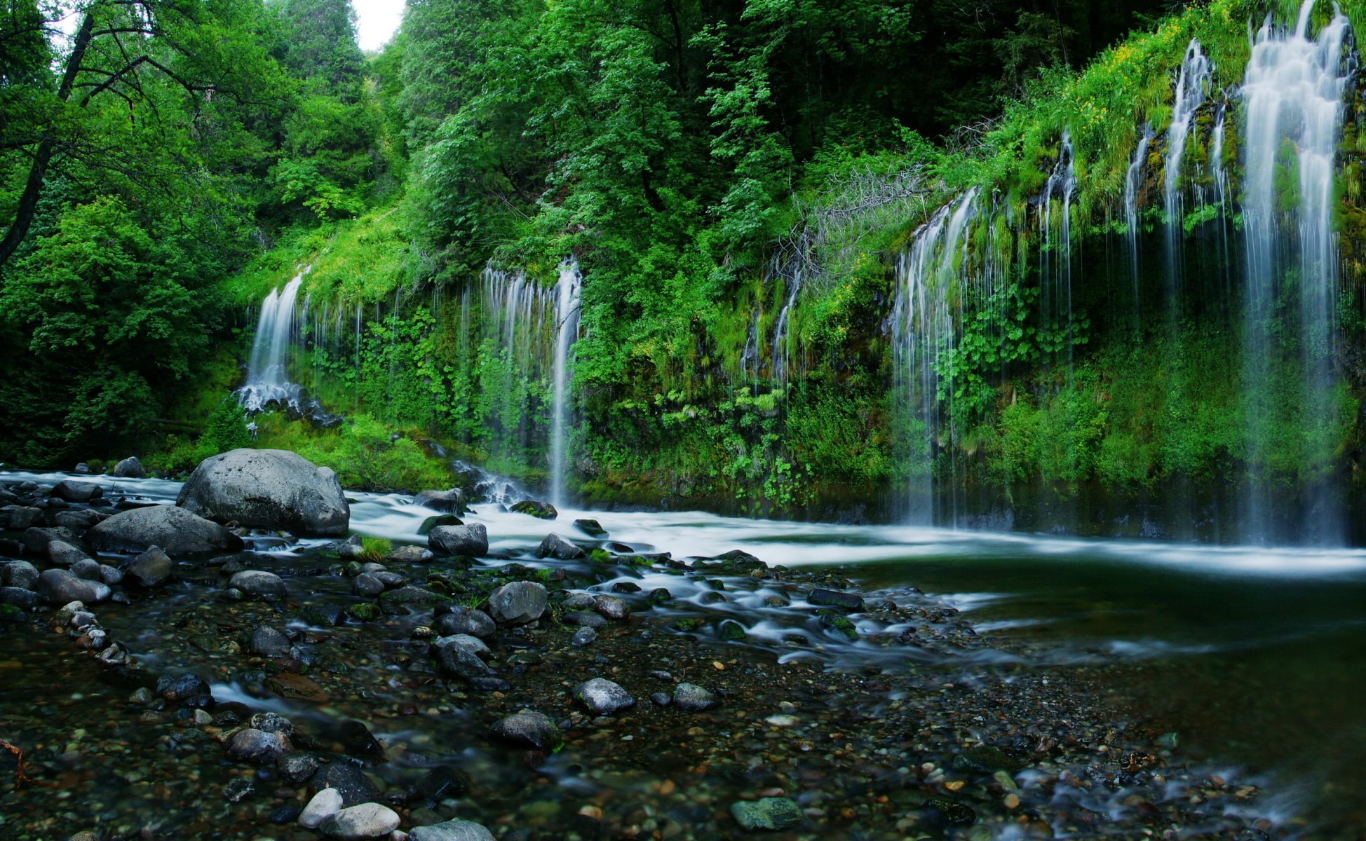 estados unidos waterfals mossbrae california naturaleza cascada agua piedras árboles