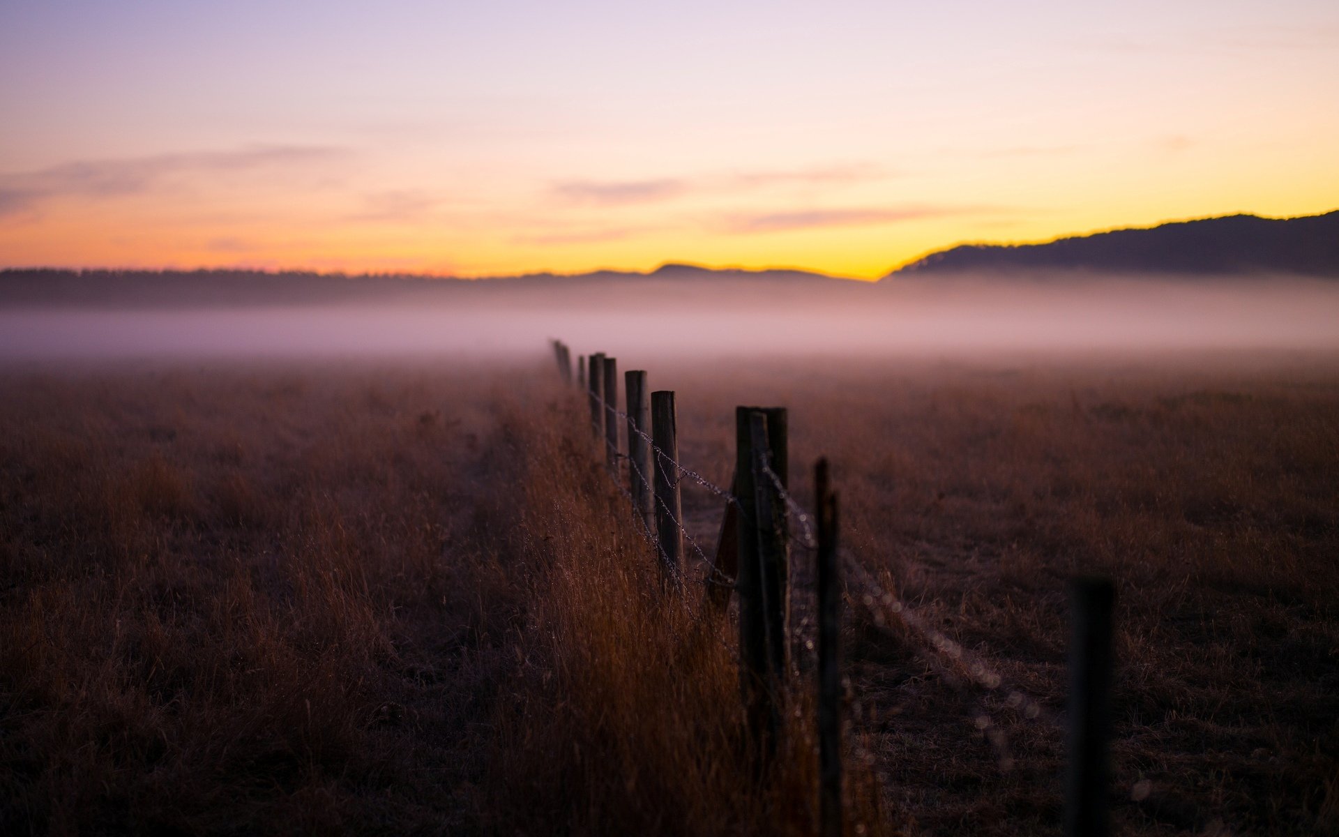 nature plants fencing fog blur background wallpaper widescreen full screen hd wallpaper