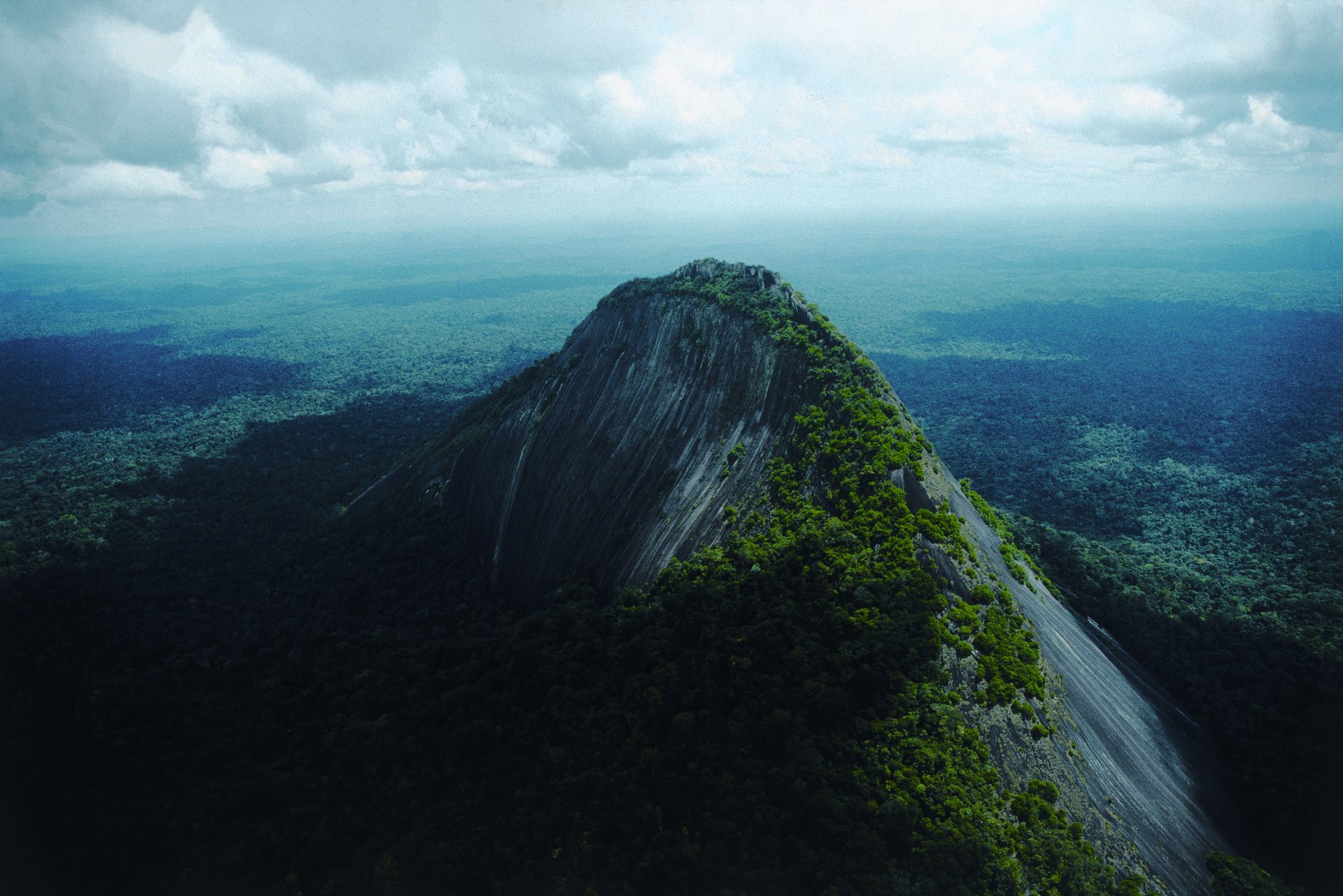 nature mountain forest sky shadows clouds fog greenery shadow