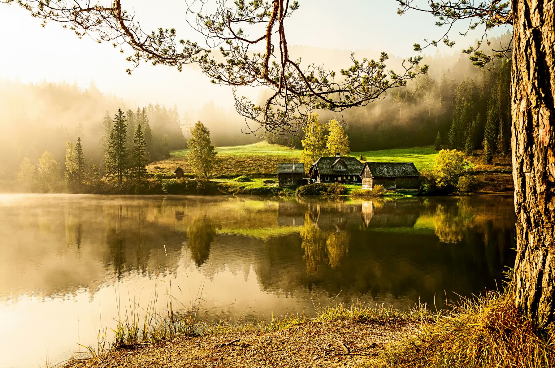 dorf häuser see morgen