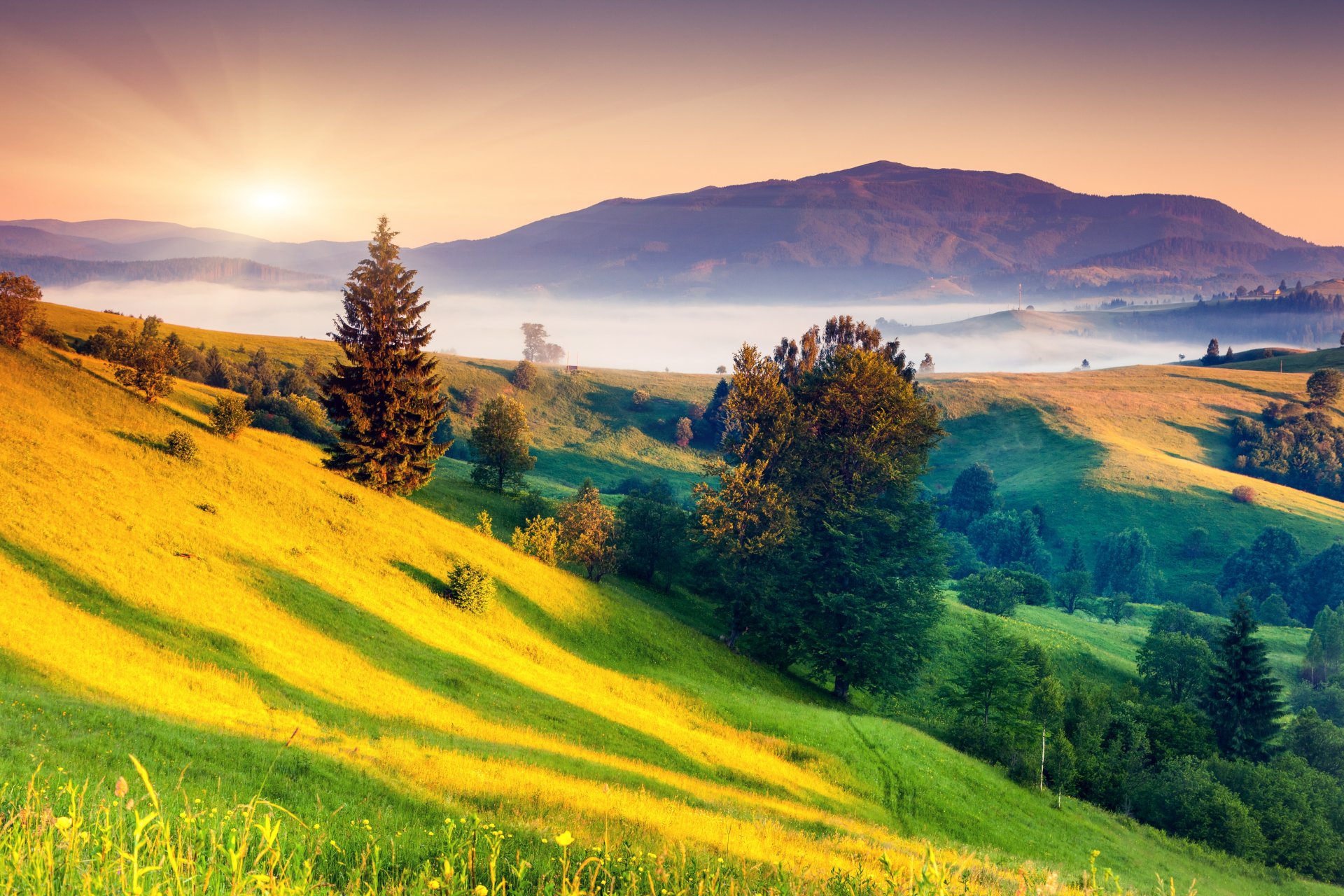 colline nebbia sole alberi alba