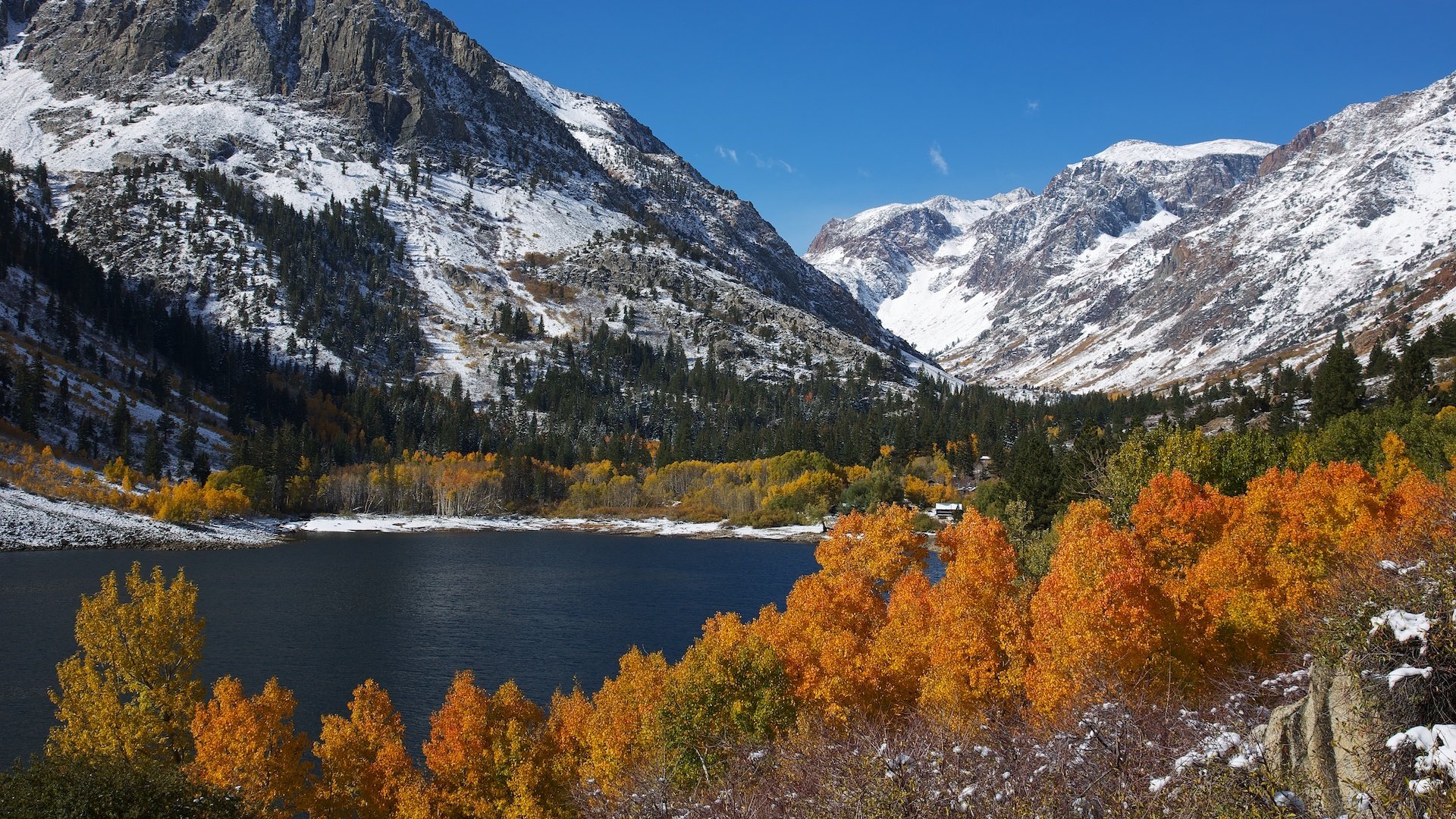 mountain snow lake tree foliage autumn